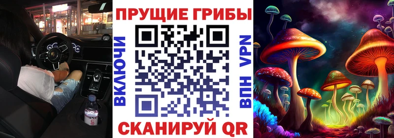 Купить где  Уржум  Галлюциногенные грибы ЛСД 